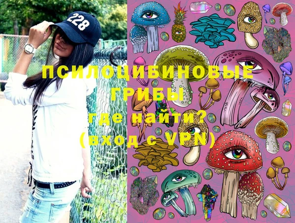 jwh Пересвет
