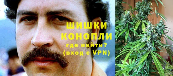 мяу мяу мука Пестово