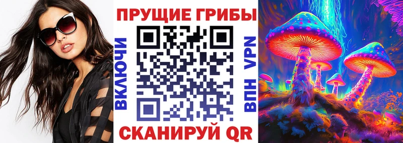 Псилоцибиновые грибы ЛСД  где найти   Балей 